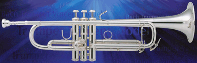 ファイル 33-1.gif