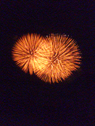 hanabi.gif 188250 44K